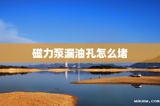 磁力泵漏油孔怎么堵