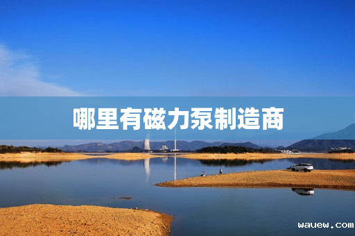 哪里有磁力泵制造商