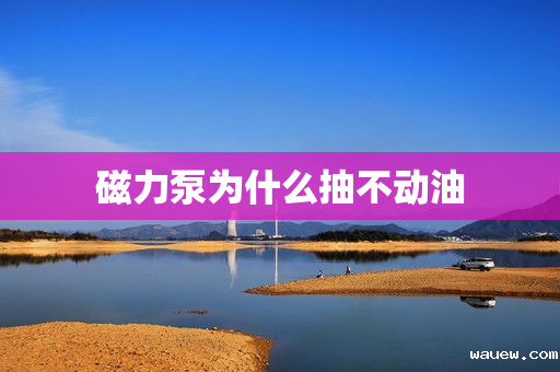 磁力泵为什么抽不动油