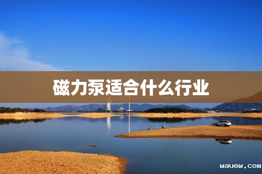 磁力泵适合什么行业