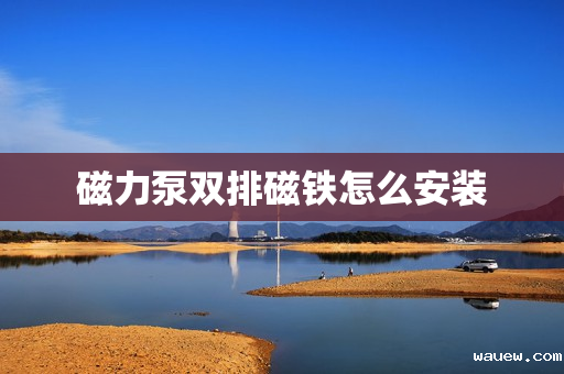 磁力泵双排磁铁怎么安装
