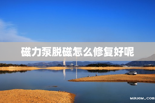 磁力泵脱磁怎么修复好呢