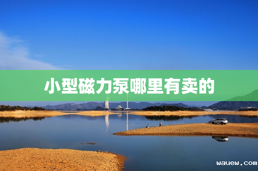 小型磁力泵哪里有卖的