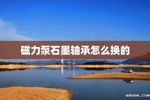 磁力泵石墨轴承怎么换的