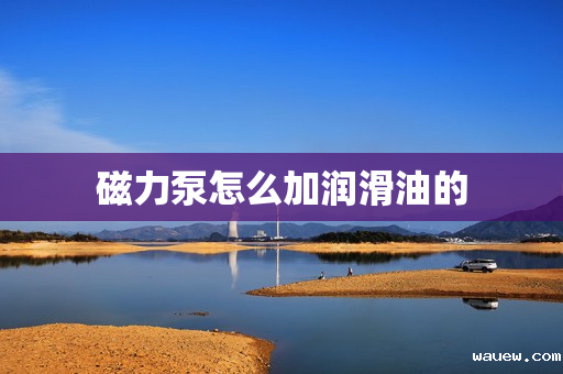 磁力泵怎么加润滑油的