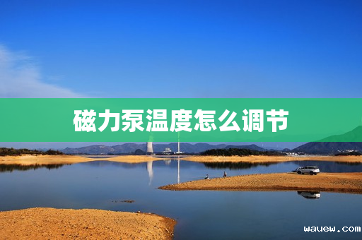 磁力泵温度怎么调节