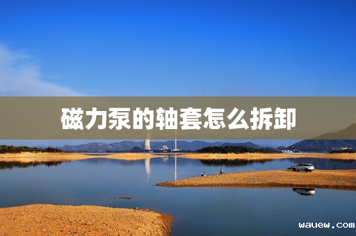 磁力泵的轴套怎么拆卸