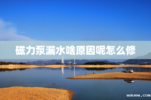 磁力泵漏水啥原因呢怎么修