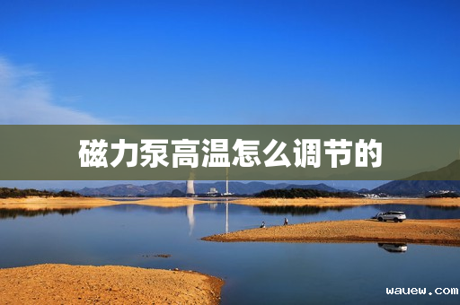 磁力泵高温怎么调节的