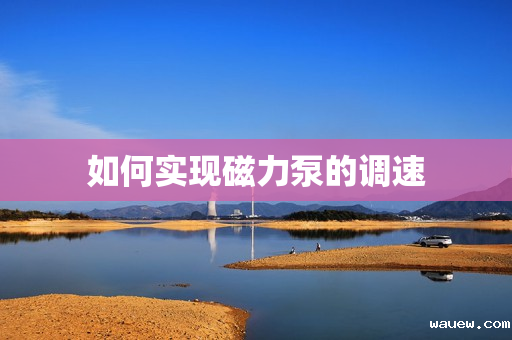 如何实现磁力泵的调速