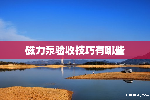 磁力泵验收技巧有哪些