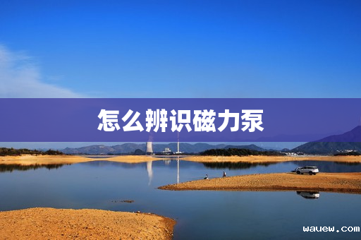 怎么辨识磁力泵