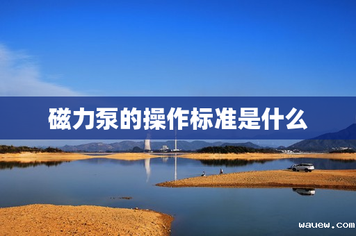 磁力泵的操作标准是什么