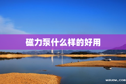 磁力泵什么样的好用