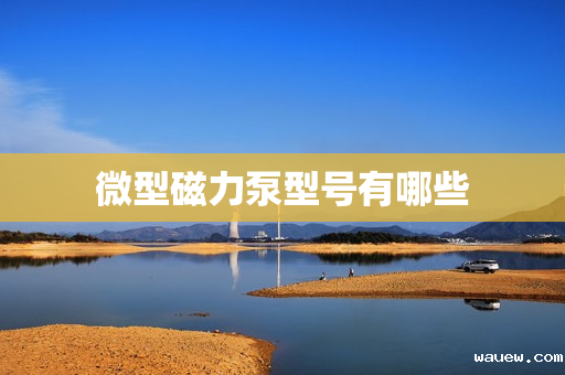 微型磁力泵型号有哪些