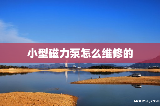 小型磁力泵怎么维修的