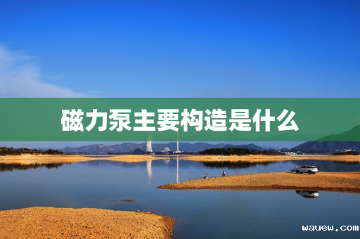 磁力泵主要构造是什么