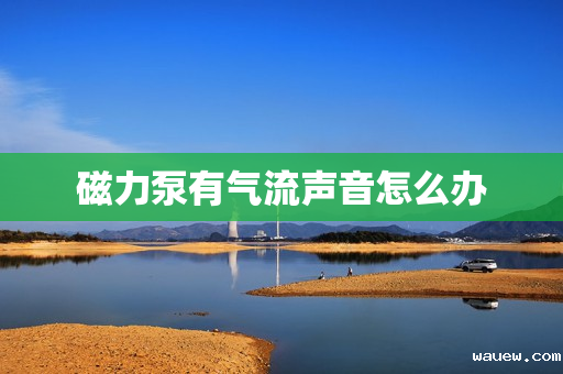 磁力泵有气流声音怎么办