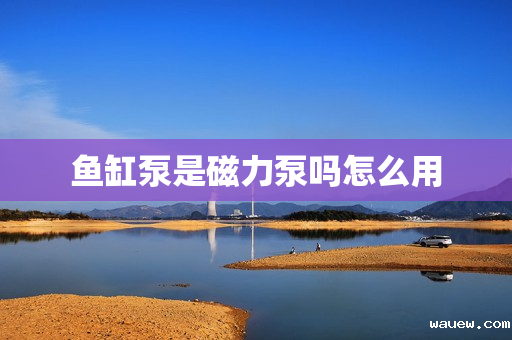 鱼缸泵是磁力泵吗怎么用