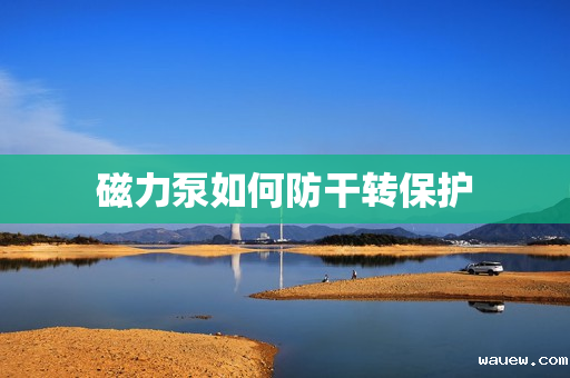 磁力泵如何防干转保护