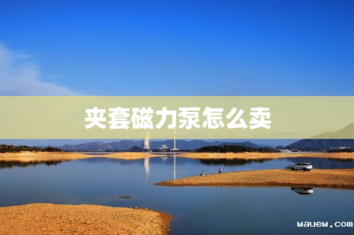 夹套磁力泵怎么卖