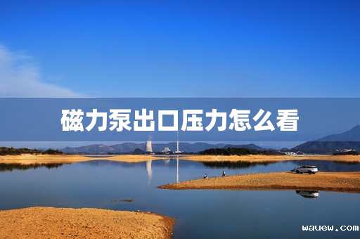 磁力泵出口压力怎么看
