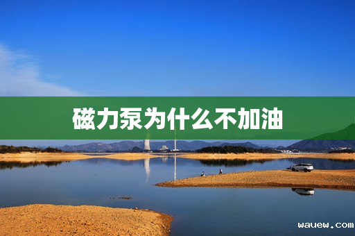 磁力泵为什么不加油