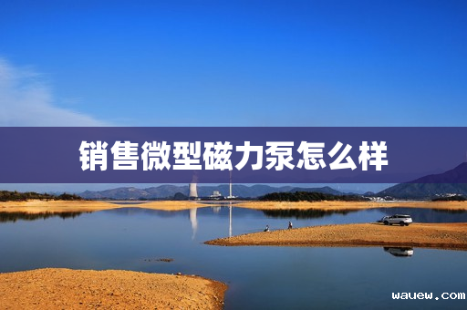 销售微型磁力泵怎么样