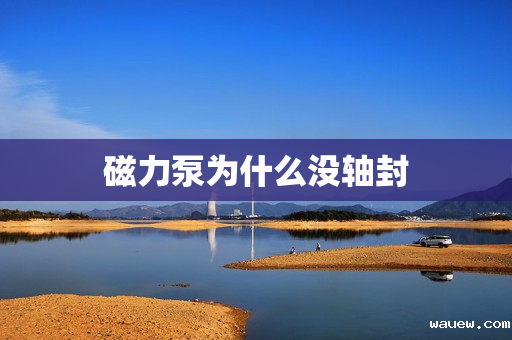 磁力泵为什么没轴封