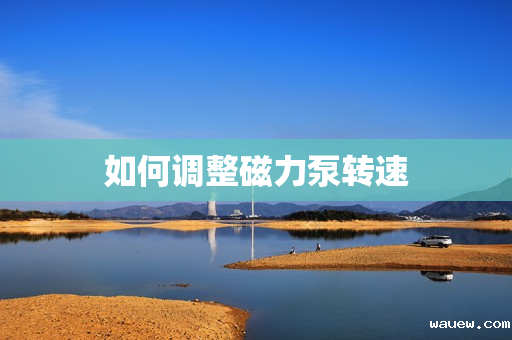 如何调整磁力泵转速