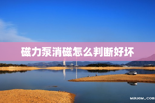 磁力泵消磁怎么判断好坏