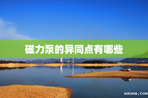 磁力泵的异同点有哪些