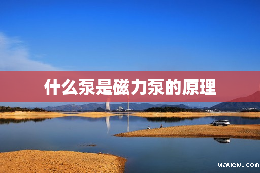 什么泵是磁力泵的原理