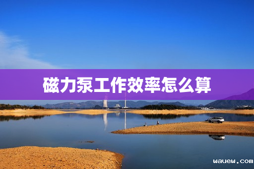 磁力泵工作效率怎么算