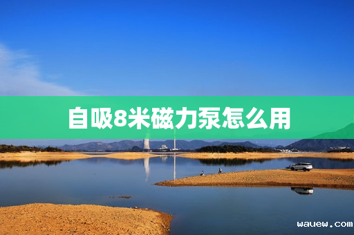 自吸8米磁力泵怎么用