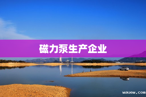 磁力泵生产企业