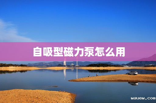 自吸型磁力泵怎么用