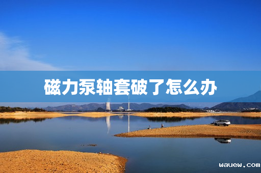 磁力泵轴套破了怎么办