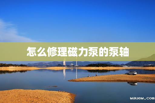 怎么修理磁力泵的泵轴