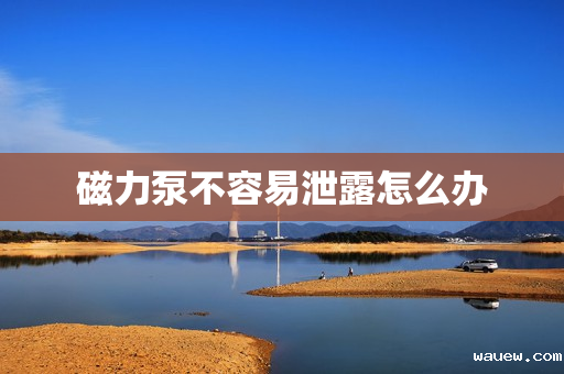 磁力泵不容易泄露怎么办