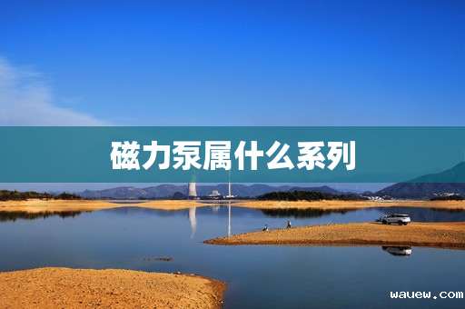 磁力泵属什么系列