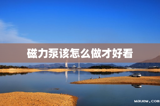 磁力泵该怎么做才好看