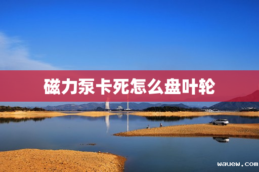 磁力泵卡死怎么盘叶轮