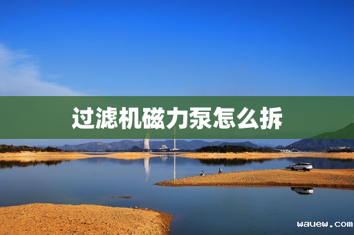 过滤机磁力泵怎么拆