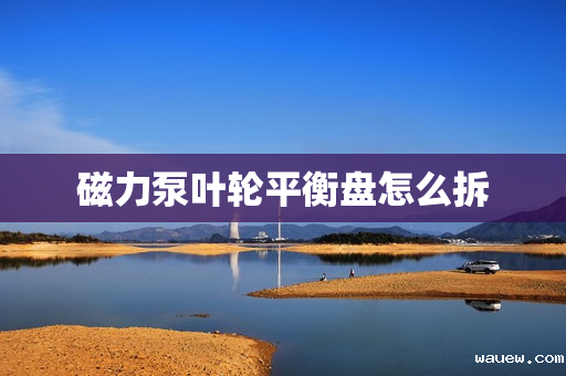 磁力泵叶轮平衡盘怎么拆