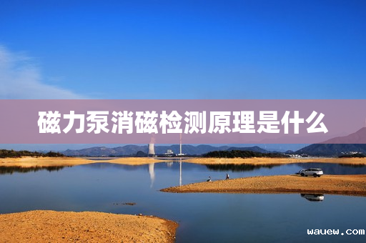 磁力泵消磁检测原理是什么