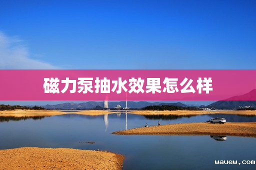 磁力泵抽水效果怎么样