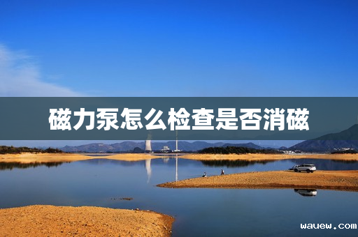 磁力泵怎么检查是否消磁