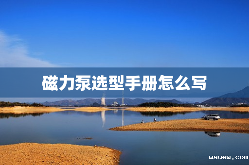 磁力泵选型手册怎么写