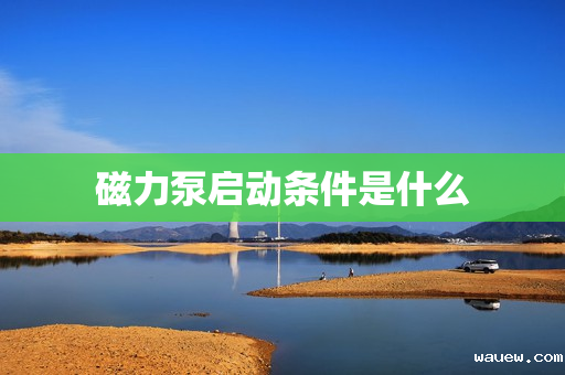 磁力泵启动条件是什么